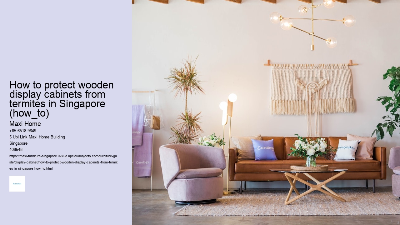 How to protect wooden display cabinets from termites in Singapore (how_to)