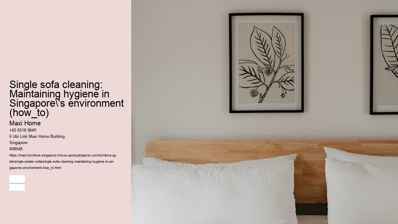 Single sofa cleaning: Maintaining hygiene in Singapore's environment (how_to)