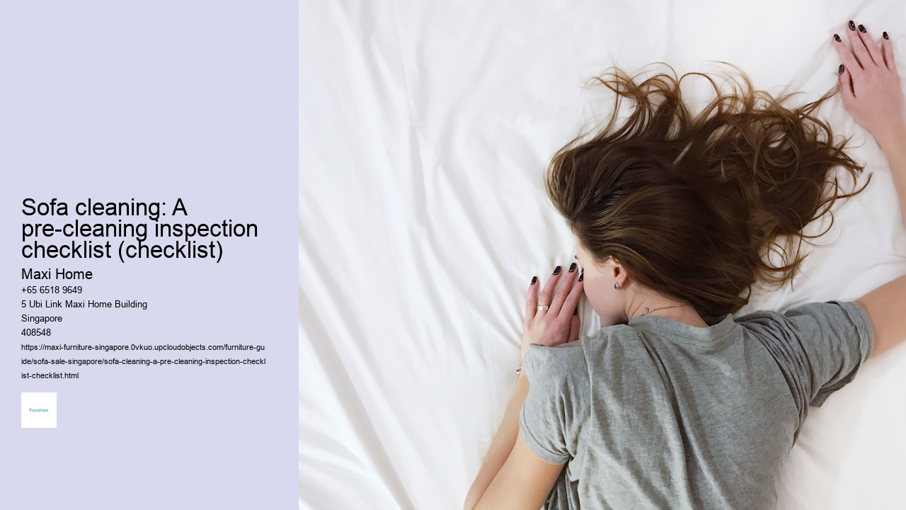 Sofa cleaning: A pre-cleaning inspection checklist (checklist) Maxi Home Sofa cleaning: A pre-cleaning inspection checklist (checklist)