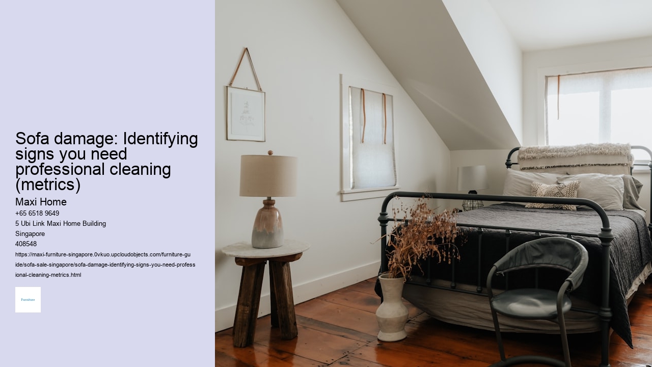 Sofa damage: Identifying signs you need professional cleaning (metrics)