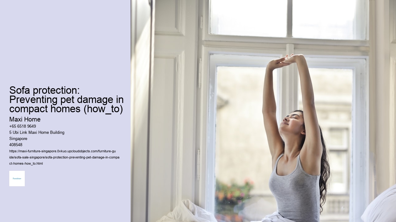 Sofa protection: Preventing pet damage in compact homes (how_to)